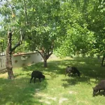 La Del Pais Bed and breakfast Santo Juan de Luz