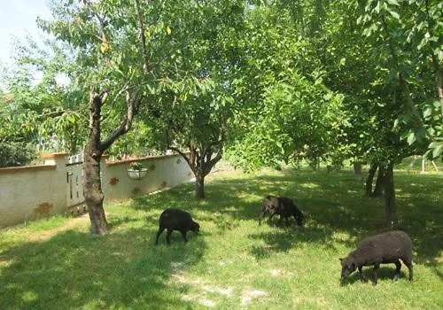 La Del Pais Couette-café Saint Jean de Luz